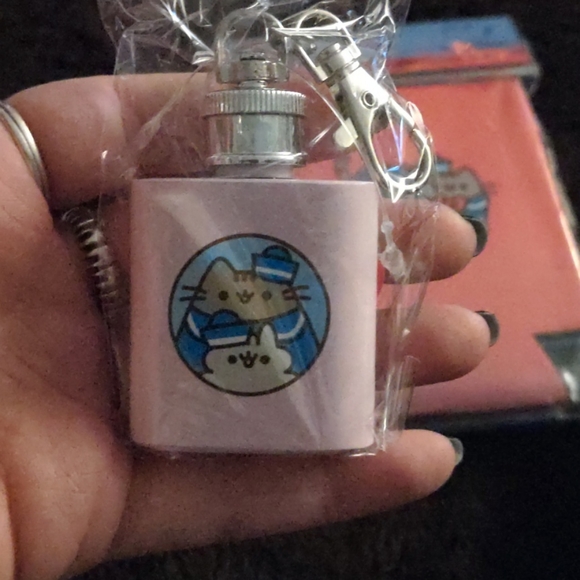 Pusheen salad cup, flask keychain, drink cozies - Picture 6 of 8